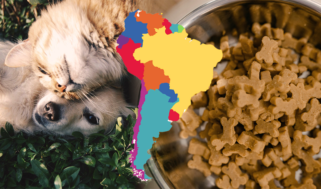 
                                 El país de América Latina que más gasta en comida de mascotas: ¿en qué puesto se encuentra Perú? 
                            