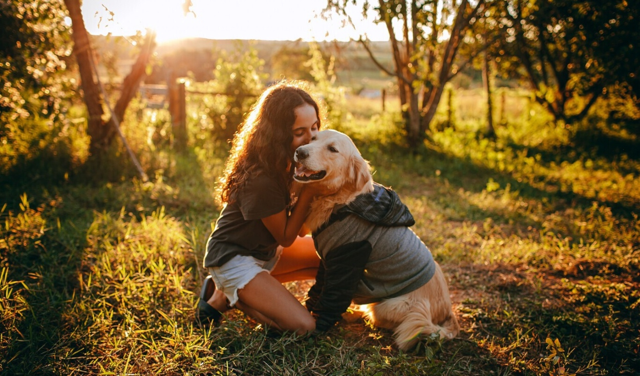 
                                 ¿Qué lugares hay para ir con perros cerca a Lima? disfruta de un full day con tu mascota en estos destinos 
                            