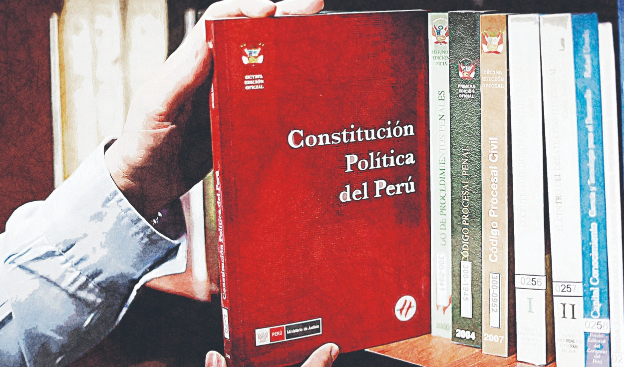 
                                 La Constitución no es una caricatura, por Guido Croxatto 
                            