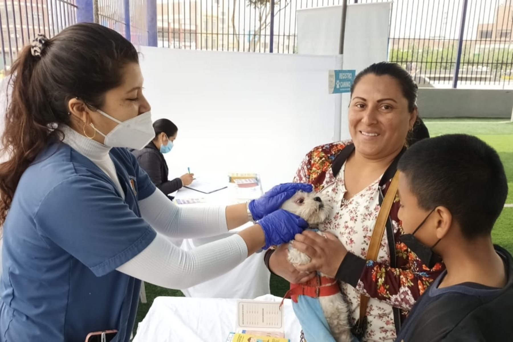 Campaña de veterinaria para mascotas