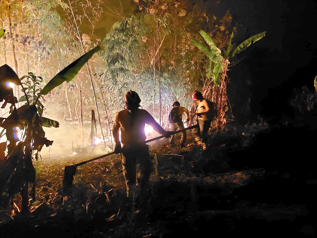 Incendio forestal en Madre de Dios