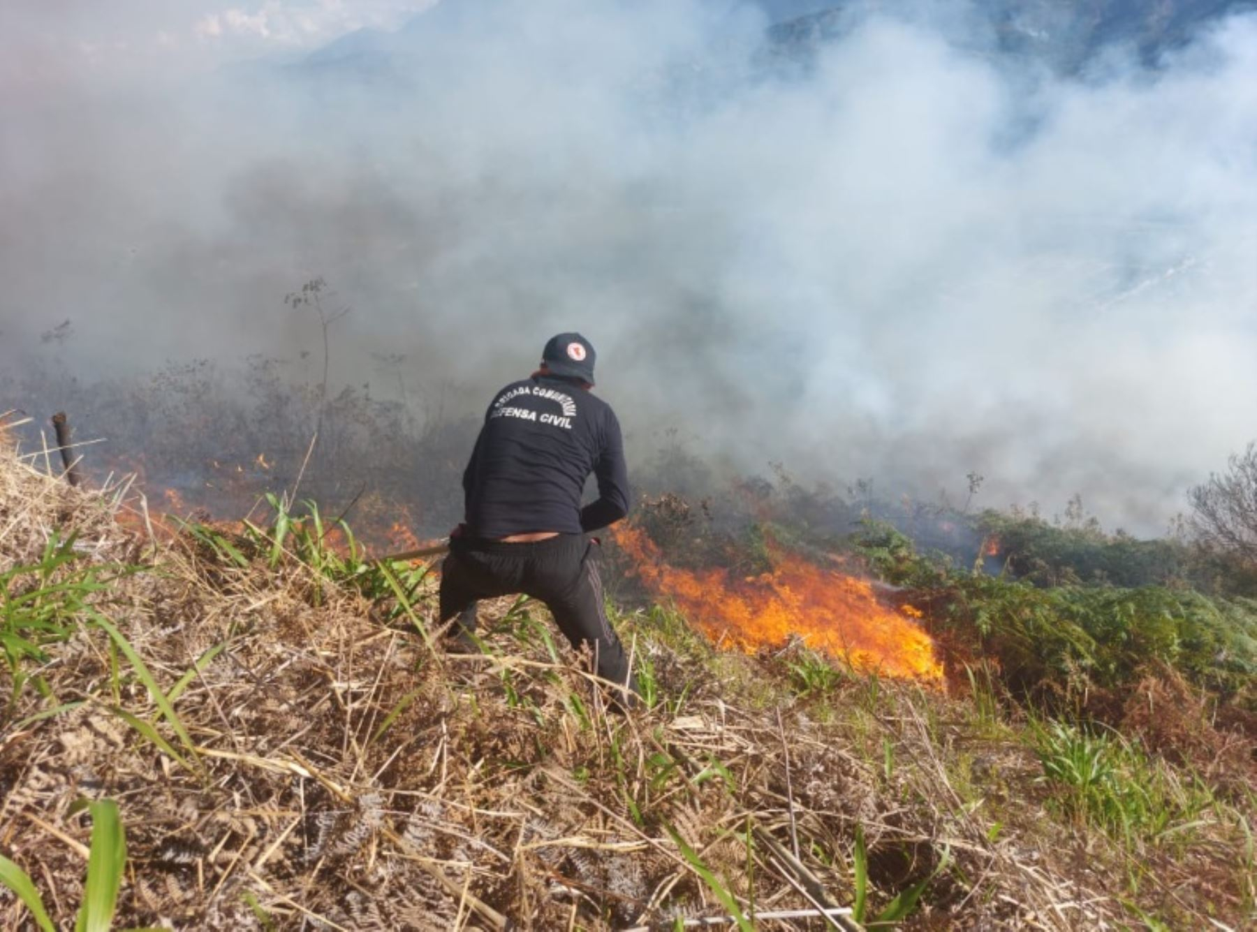 Incendio forestal se registra en la selva peruana