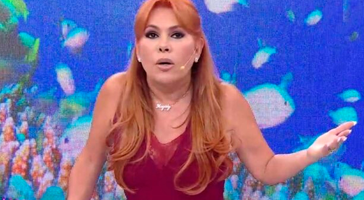 Magaly Medina IMPACTA con INESPERADA 'confesión' en pleno programa: "Voy a  renunciar en vivo" | Magaly TV, la firme | Espectáculos | La República