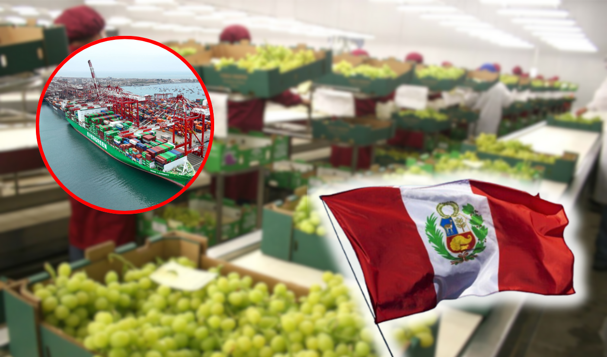 Esta región del norte del Perú lidera la agroexportación de frutas como arándanos, uvas y paltas: suma US$2.271 millones y supera a Ica | Economía | La República