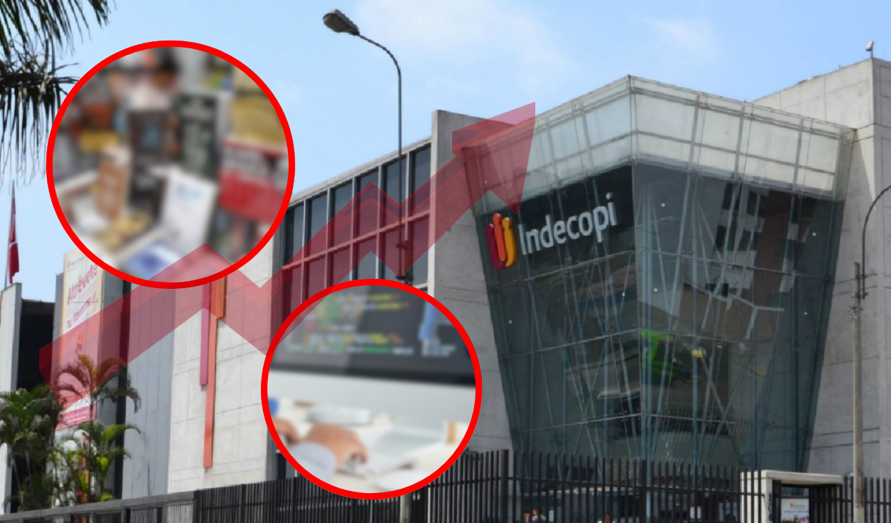 Indecopi increased copyright records in Peru: these were the most outstanding categories during 2024