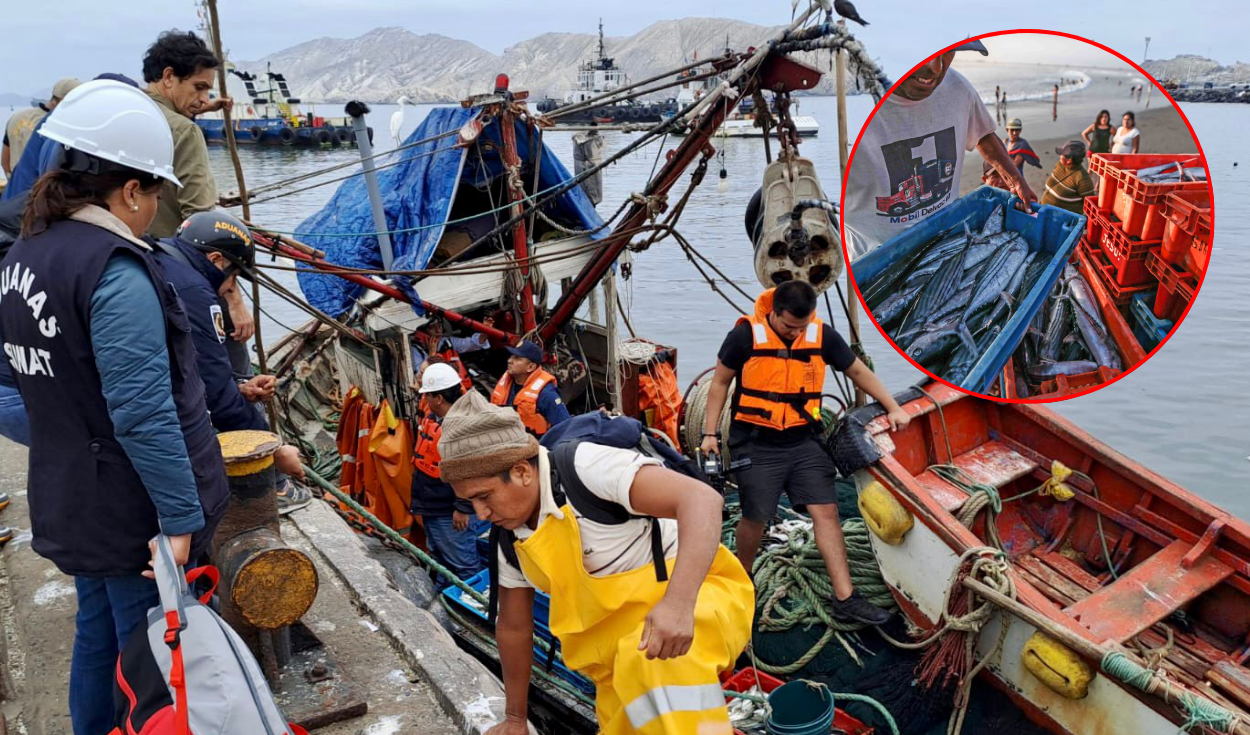Fishing in Peru: Products in crisis, insufficient and increasing unemployment