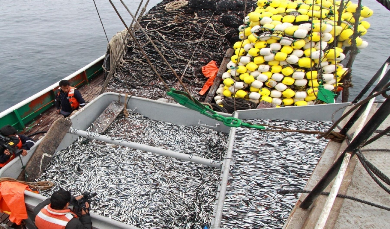 Fishing closed 2024 with a growth of 24.89%: what factors promoted the result?