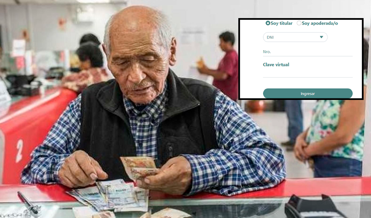 How to know the state of your contributions to the ONP? Check here
