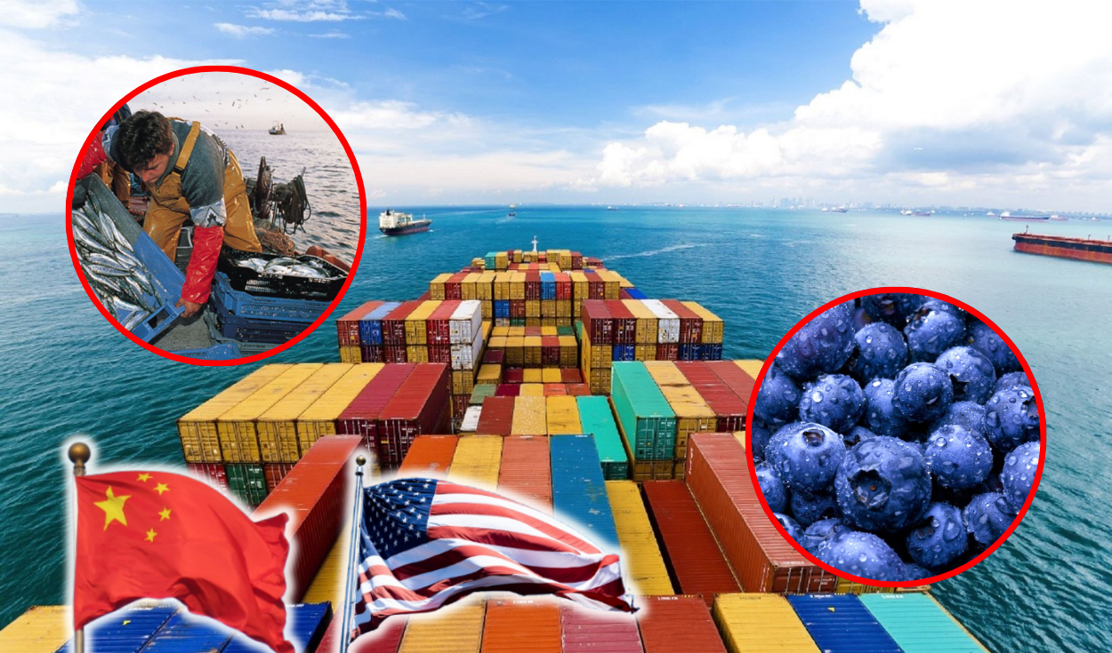 Peruvian exports reach US $ 74,664 million: minerals and blueberries led sales to China, USA, Chile, etc.