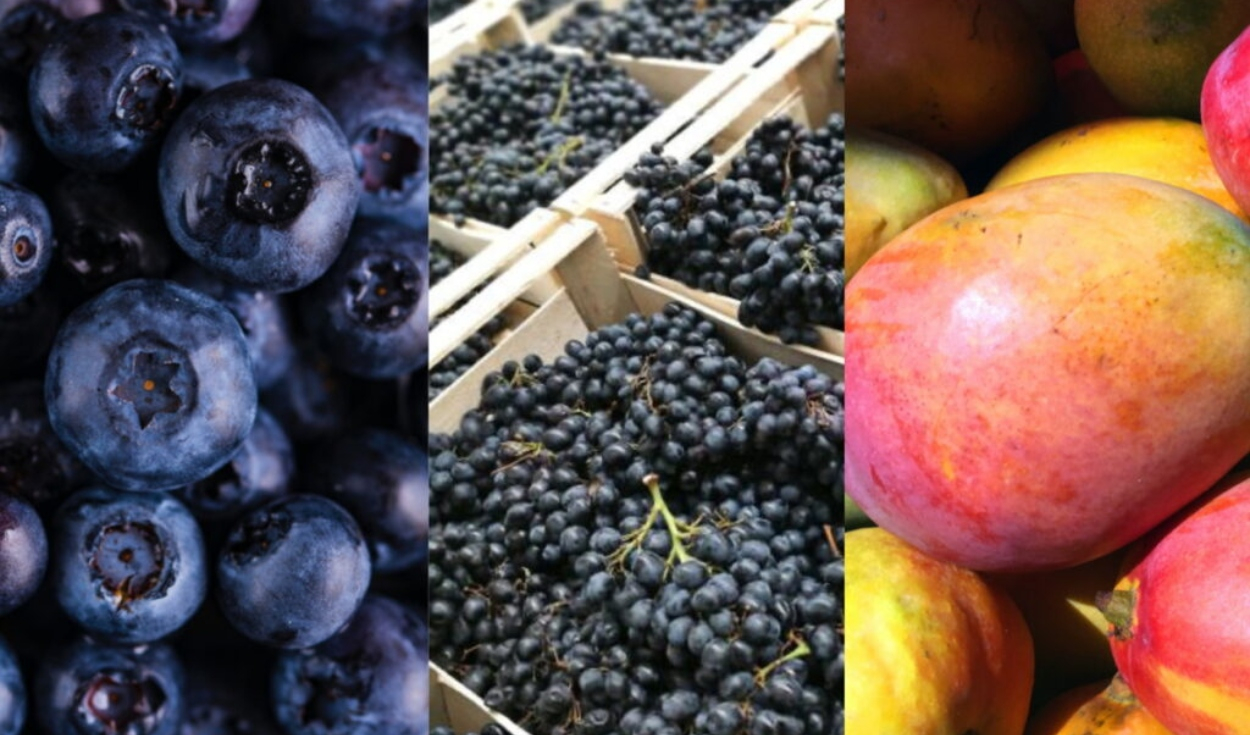 Agroexportaciones closed 2024 with a record of US $ 12,798 million: What products did they stand out?
