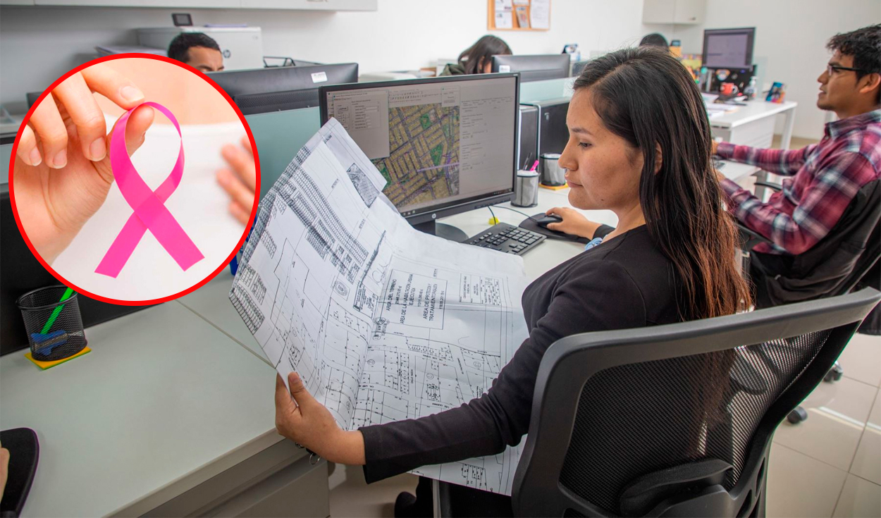Public and private sector workers may have a day license with there in Peru if they meet this requirement in 2025