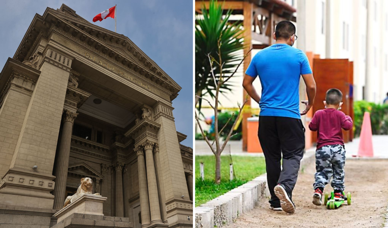 Food pension in Peru is given to children up to 28 years of age if this requirement is met, the Judiciary clarifies