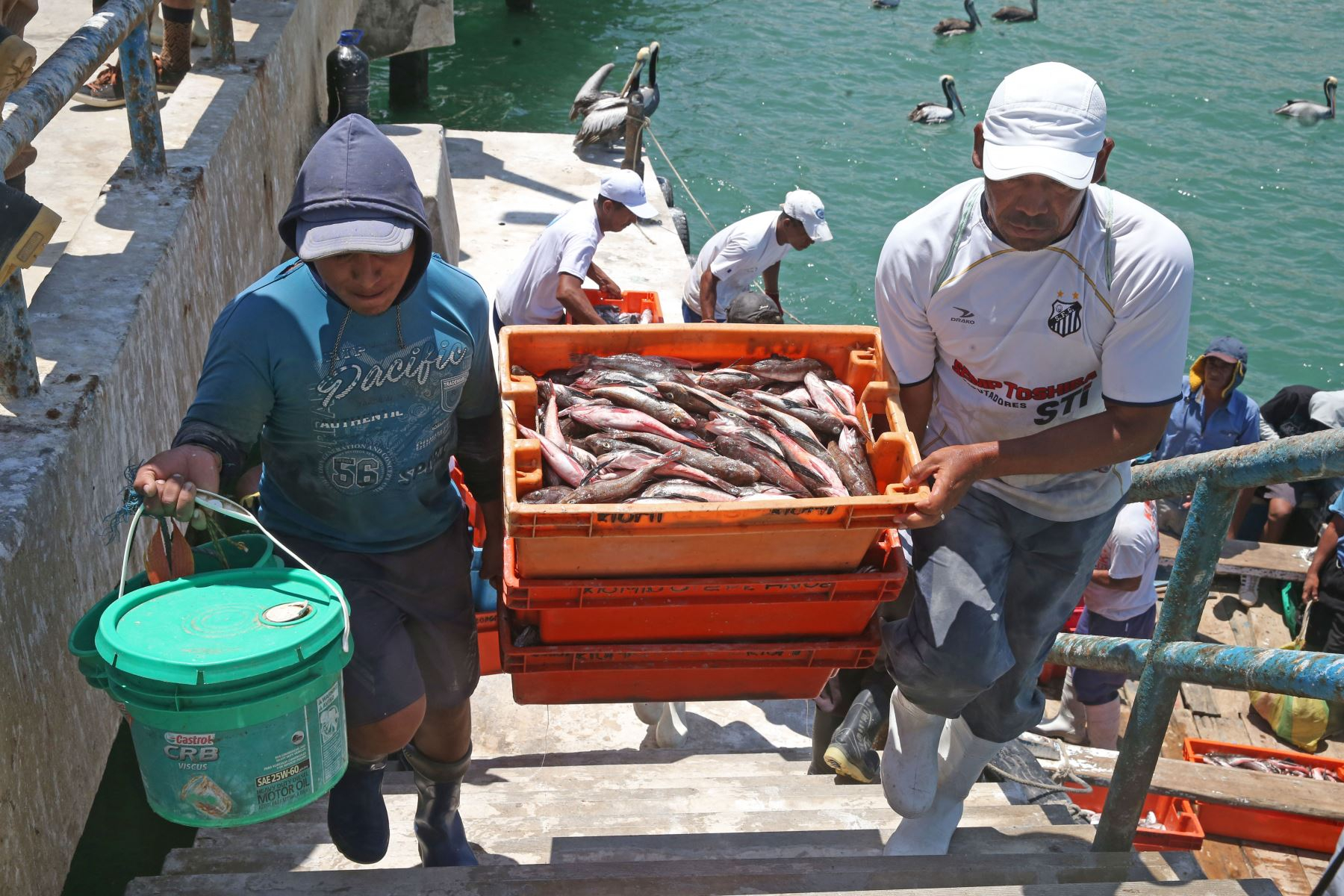 Peruvian economy closed 2024 with a growth of 3.3%, far from its maximum potential