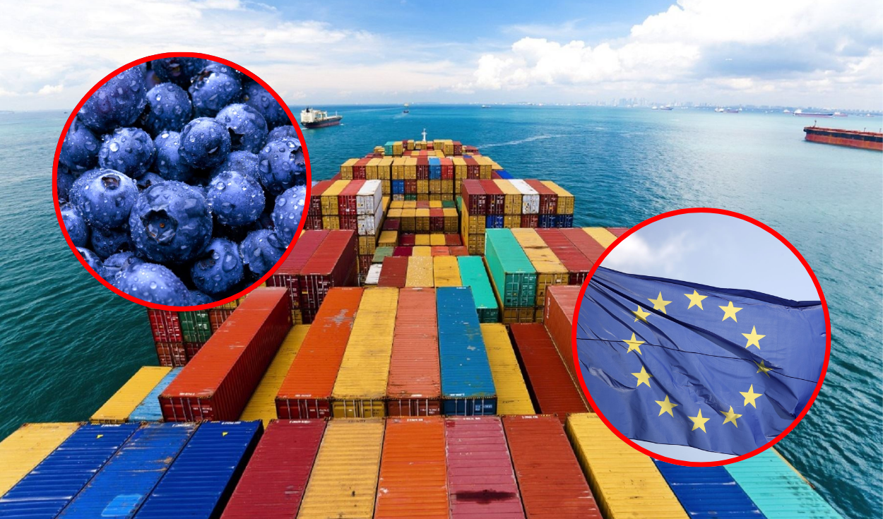 Peruvian exports of fruits and vegetables to the European Union register record of US $ 2.4 billion