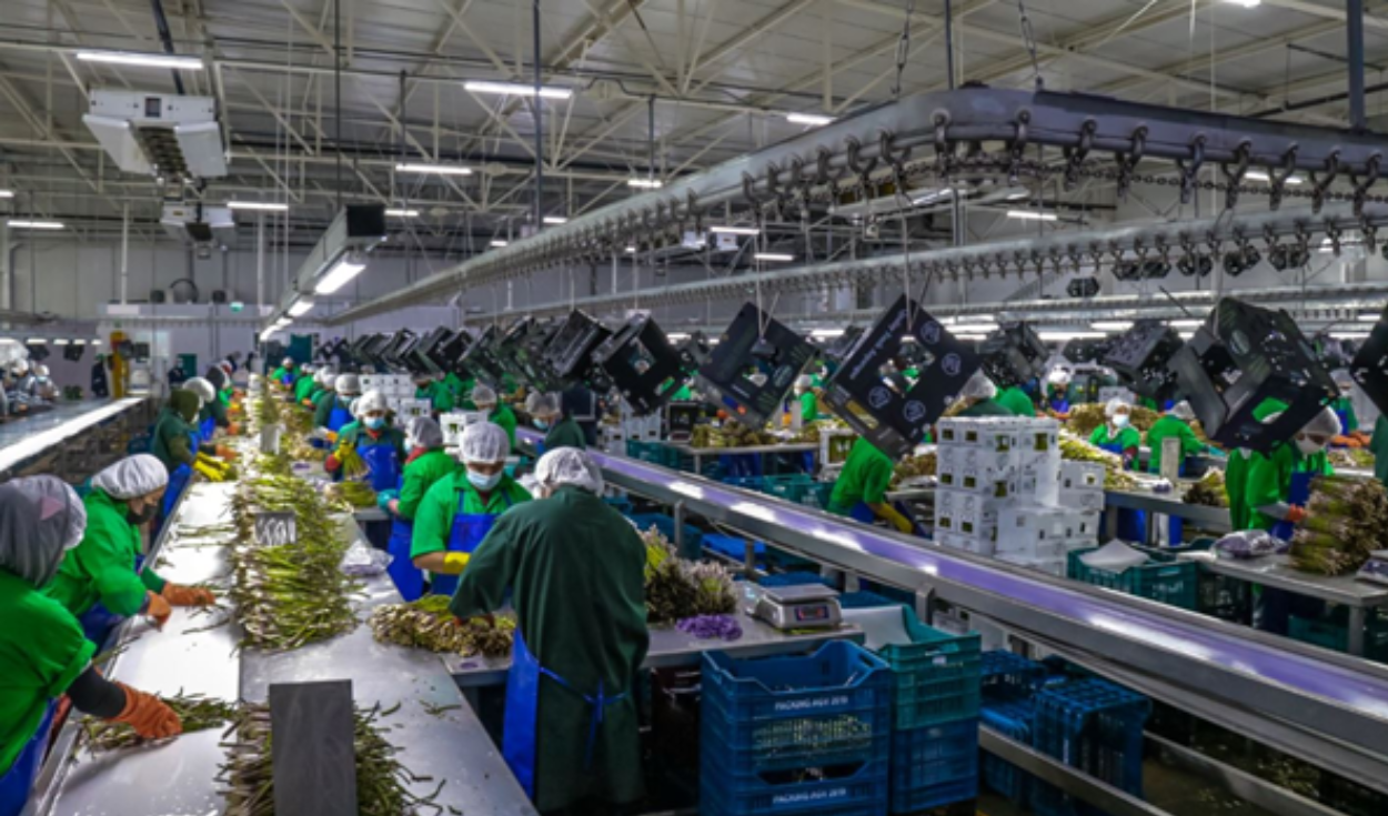 Exporting Companies: MSMEs are a majority, but the big ones monopolize 96% of foreign sales