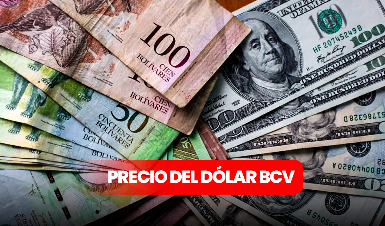 Dólar BCV hoy, martes 25 de febrero, MIRA el precio según el Banco Central de Venezuela