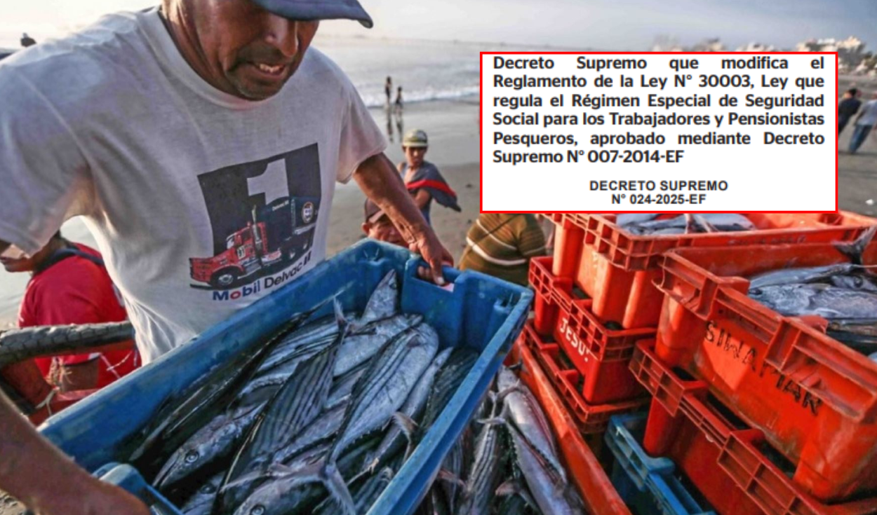 MEF adjusts benefits for fishermen: this is what you should know