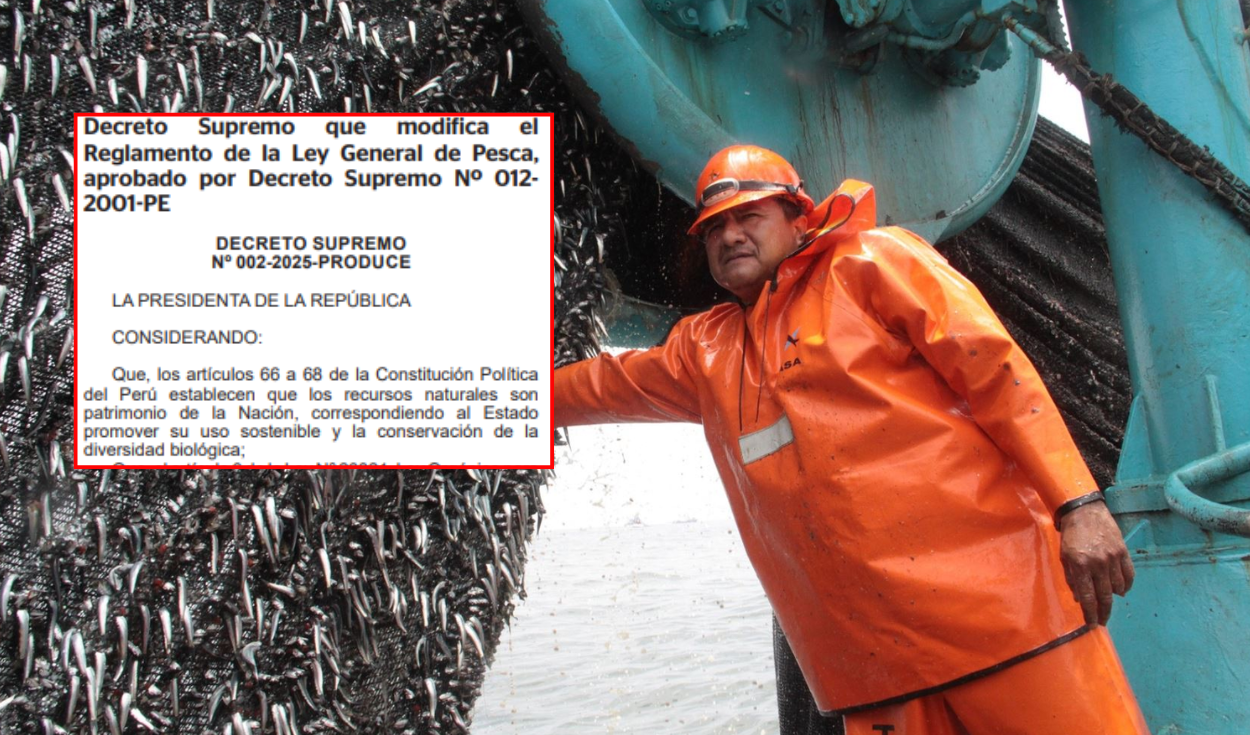 Artisanal fishing in Peru: Produce imposes new restrictions and rules in the sea