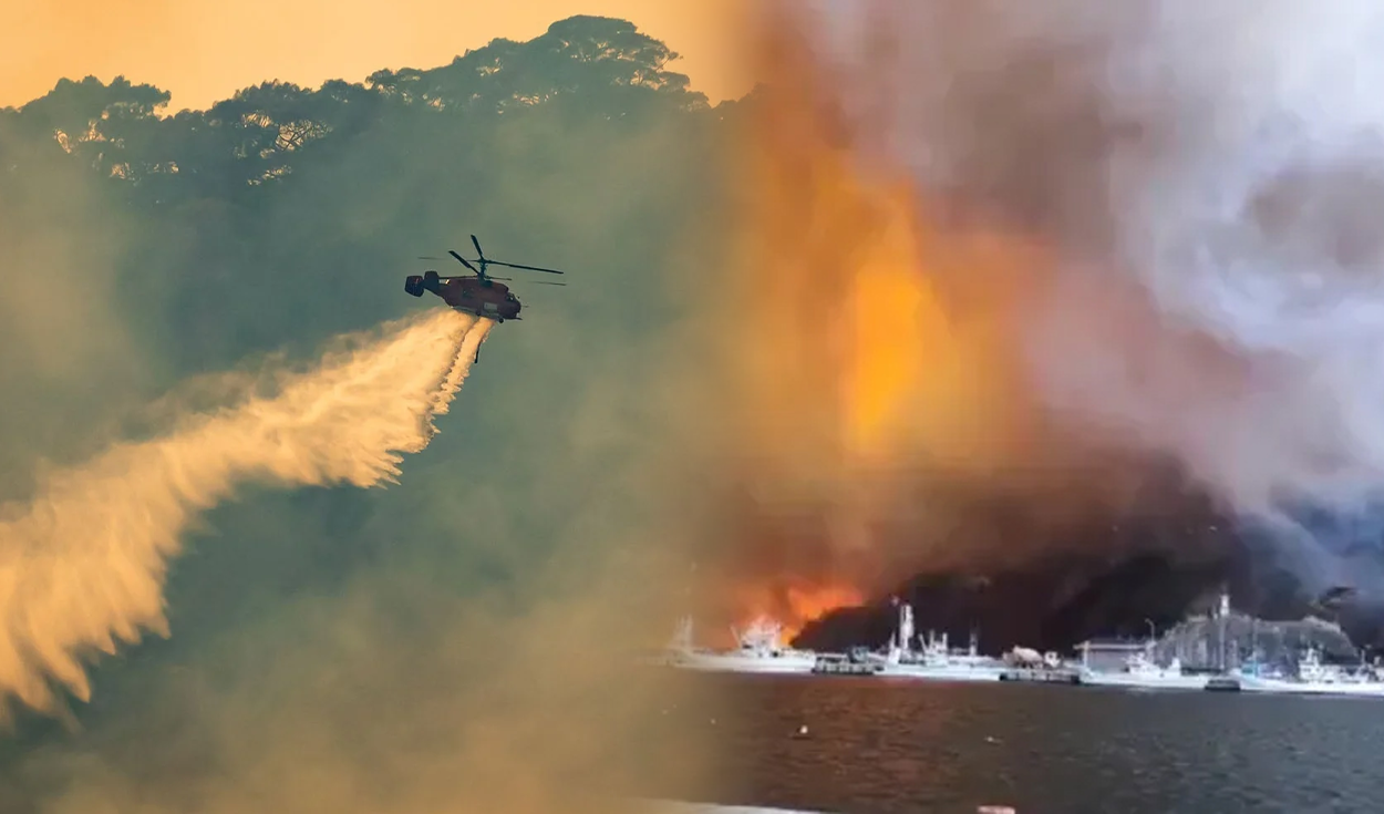 Incendio forestal en Japón arrasa más de 1.200 hectáreas, destruyó 84 hogares y dejó un muerto: es el más grande en 30 años