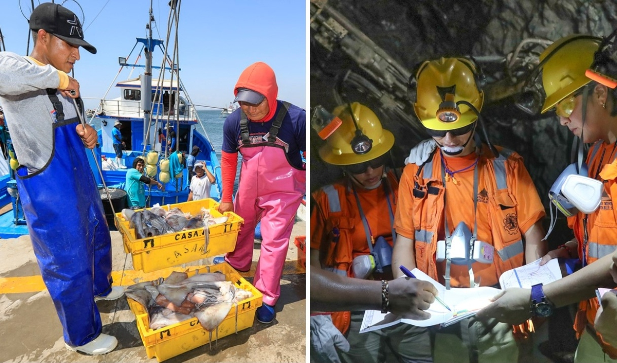 Fishing, mining and hydrocarbons production grew in January: What factors promoted the result?