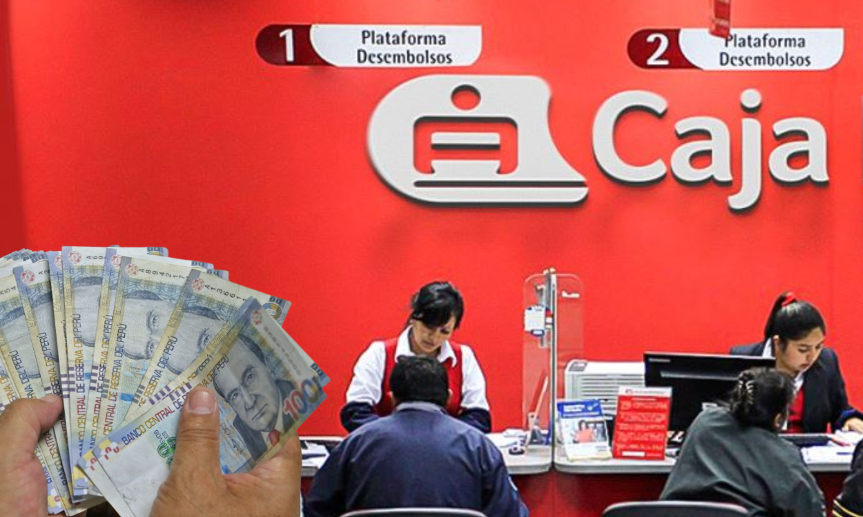 Municipal Boxes begin the 2025 in positive: all recorded profits for S/36 million