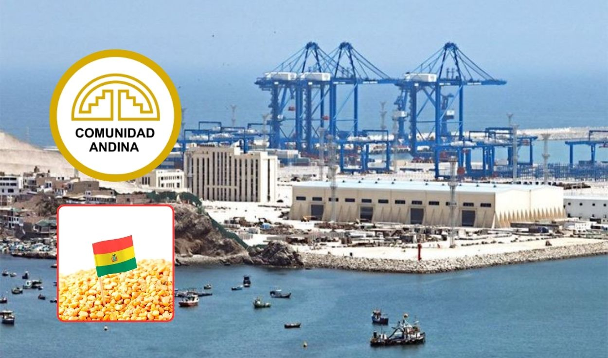 Bolivia must seek customs facilities to export its products through the port of Chancay, according to expert from that country