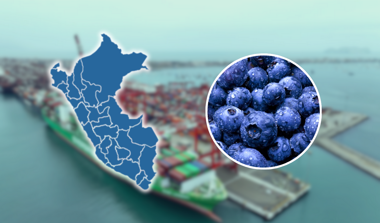 Trump and agricultural tariffs: “It is not clear to which agricultural products will be imposed,” says Diego Macera