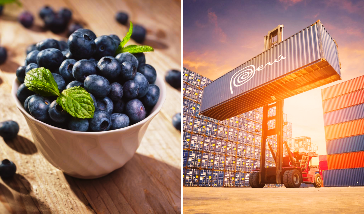 Peru dominates the international market of ‘blue gold’: exports added US $ 2,270 million in 2024