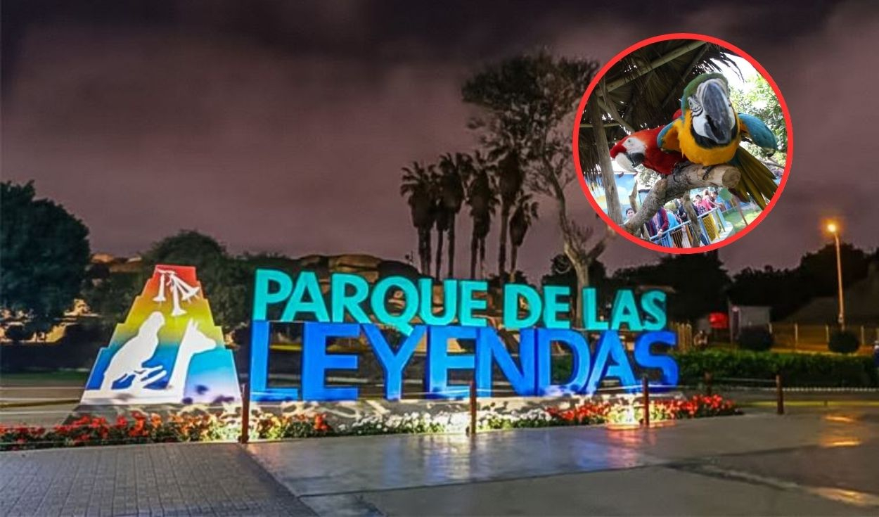 Sorry! Image not available at this time