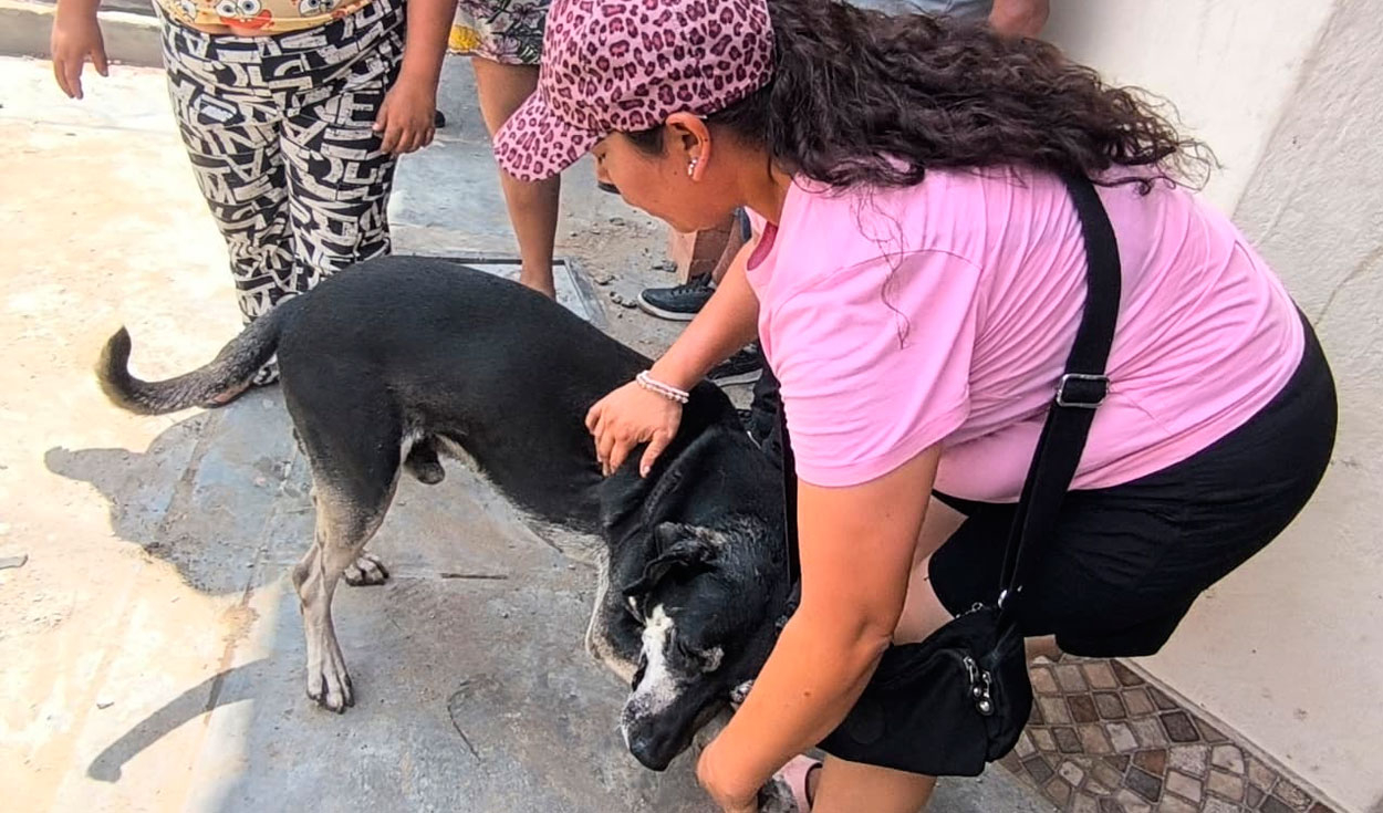 La mascota empezó a ladrar para alertar a su dueño del fuego. Foto: Sergio Verde / URPI-LR La mascota empezó a ladrar para alertar a su dueño del fuego.