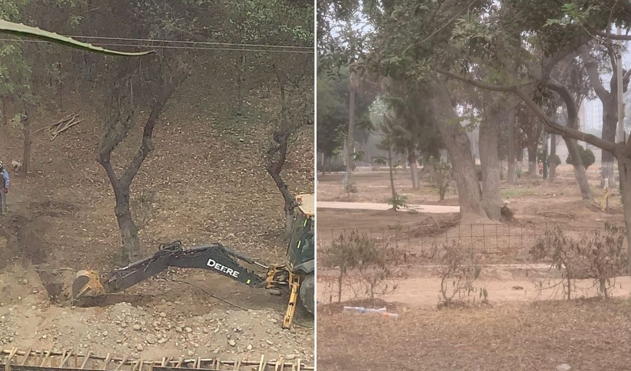 Residentes de Jesús María alertan sobre estrés hídrico en árboles durante obras en el parque