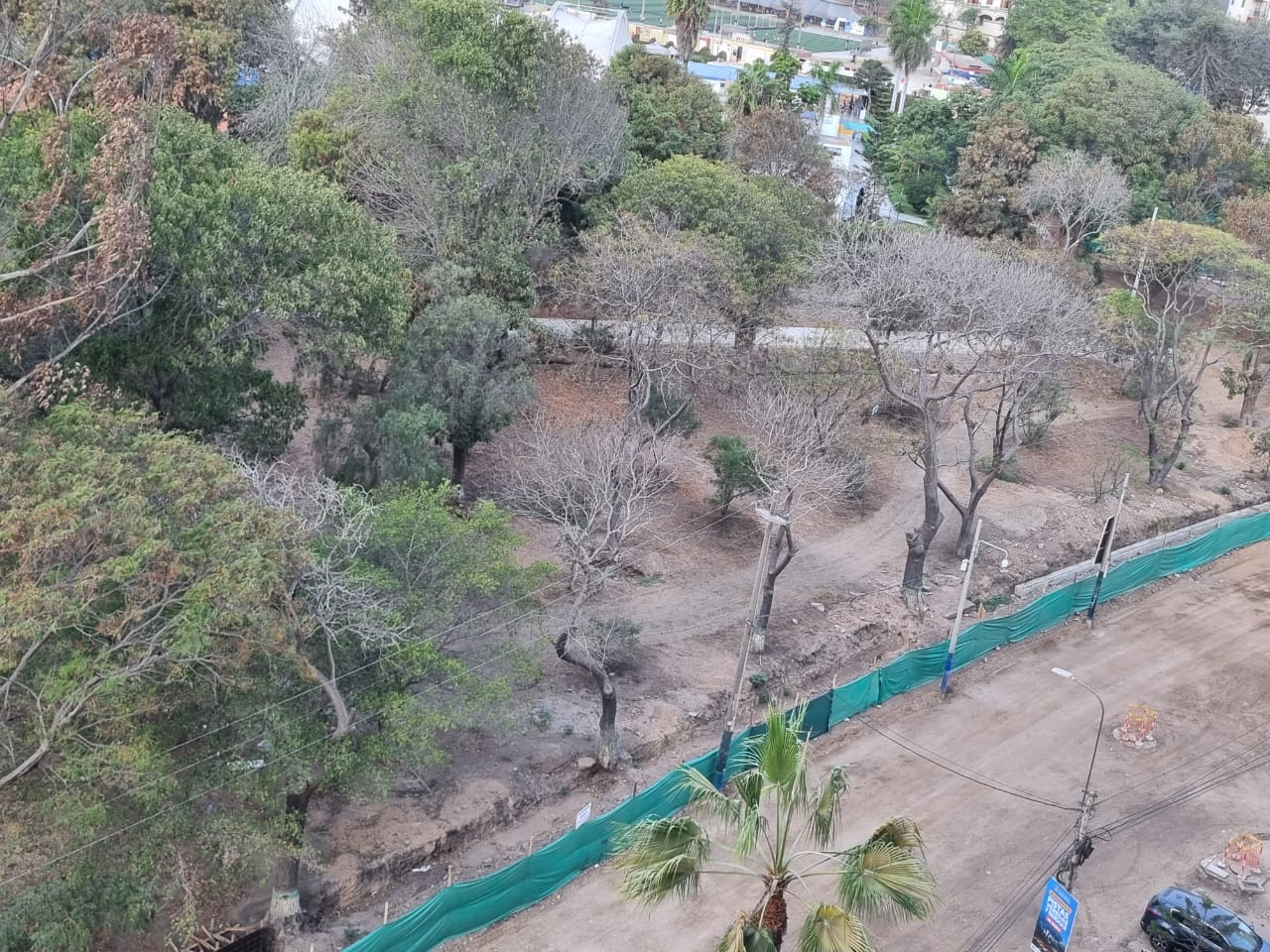 Residentes de Jesús María alertan sobre estrés hídrico en árboles durante obras en el parque