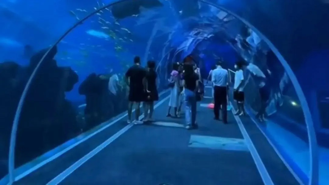 El Shanghai Ocean Aquarium se abrió oficialmente al público en febrero de 2002. Foto: CDN