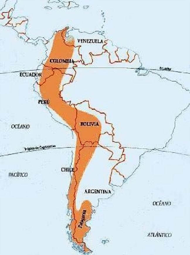 La cordillera de los Andes tiene una longitud que oscila entre los 7.000 y 8.500 kilómetros. Foto: EcuRed