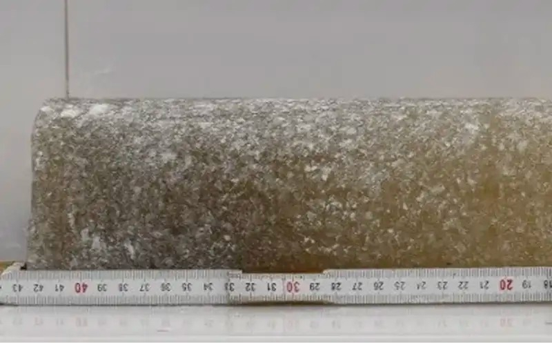 Los registros obtenidos datan que el hielo es de hace 6 millones de años. Foto: COLDEX