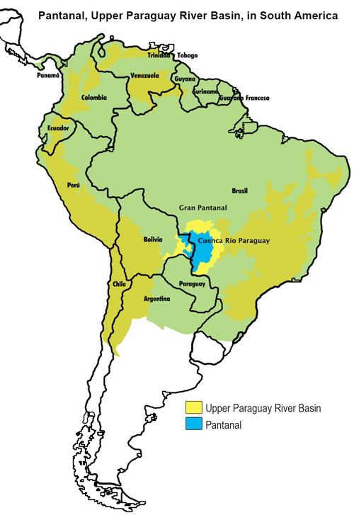 El Gran Pantanal se extiende por Brasil, Bolivia y Paraguay. Foto: WWF