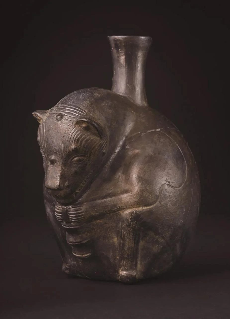 Vasija antropomórfica que representa a un perro peruano sin pelo, procedente del mausoleo de la élite en Castillo de Huarmey. Foto: Miłosz Giersz