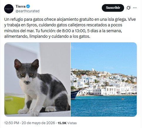La oferta de voluntariado en Grecia ha sido compartida en redes sociales. Foto: @earthcurated/X