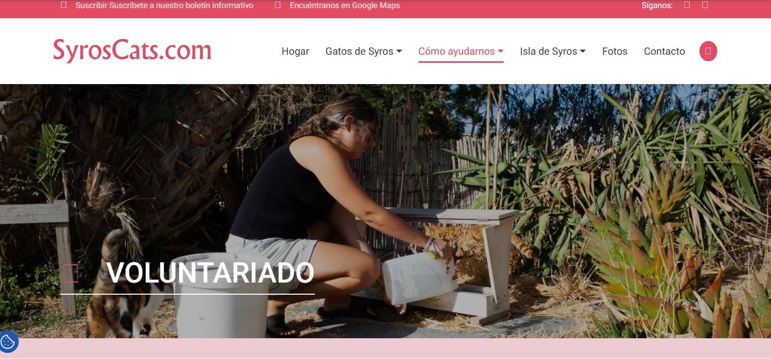 Los aspirantes deben tener una excelente disposición hacia las tareas cotidianas del refugio. Foto: Syroscats