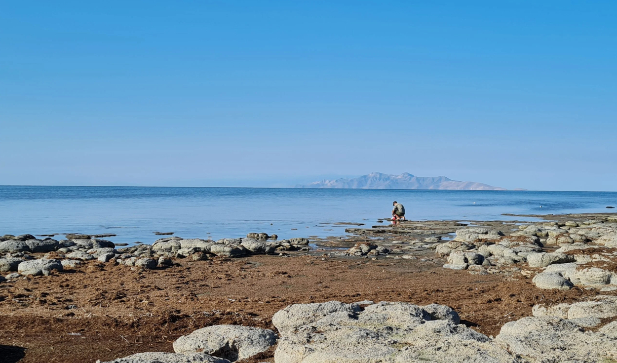 Investigadores recolectaron especímenes de nematodos en el Gran Lago Salado de Utah. Foto: Julie Jung