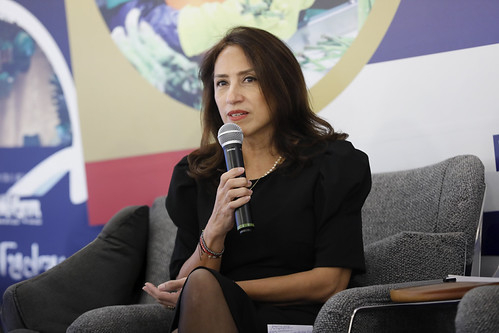 La exfuncionaria del Mincetur advirtió que el acuerdo firmado en 2016 aún tiene cabos sueltos en inversiones y compras públicas.
