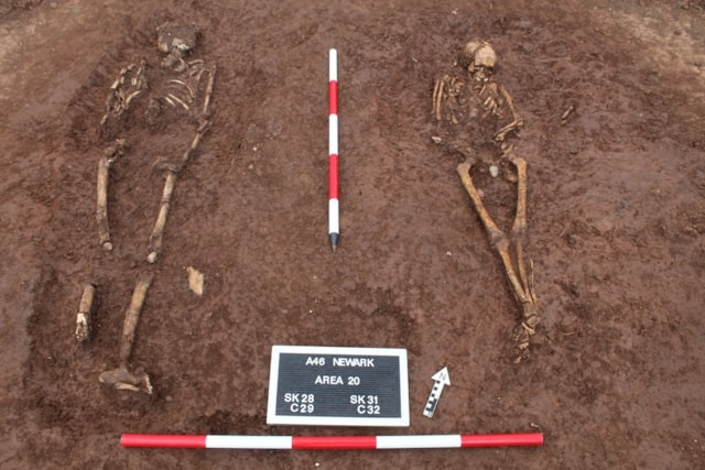 Restos oseos encontrados durante la excavación.
