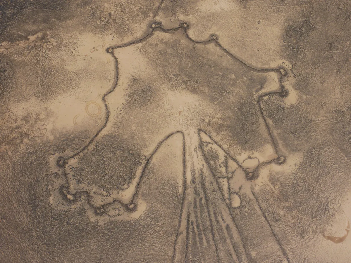 Algunas estructuras descubiertas tienen forma de cometa. Foto: APAAME ​​/ Foto de Robert Bewley