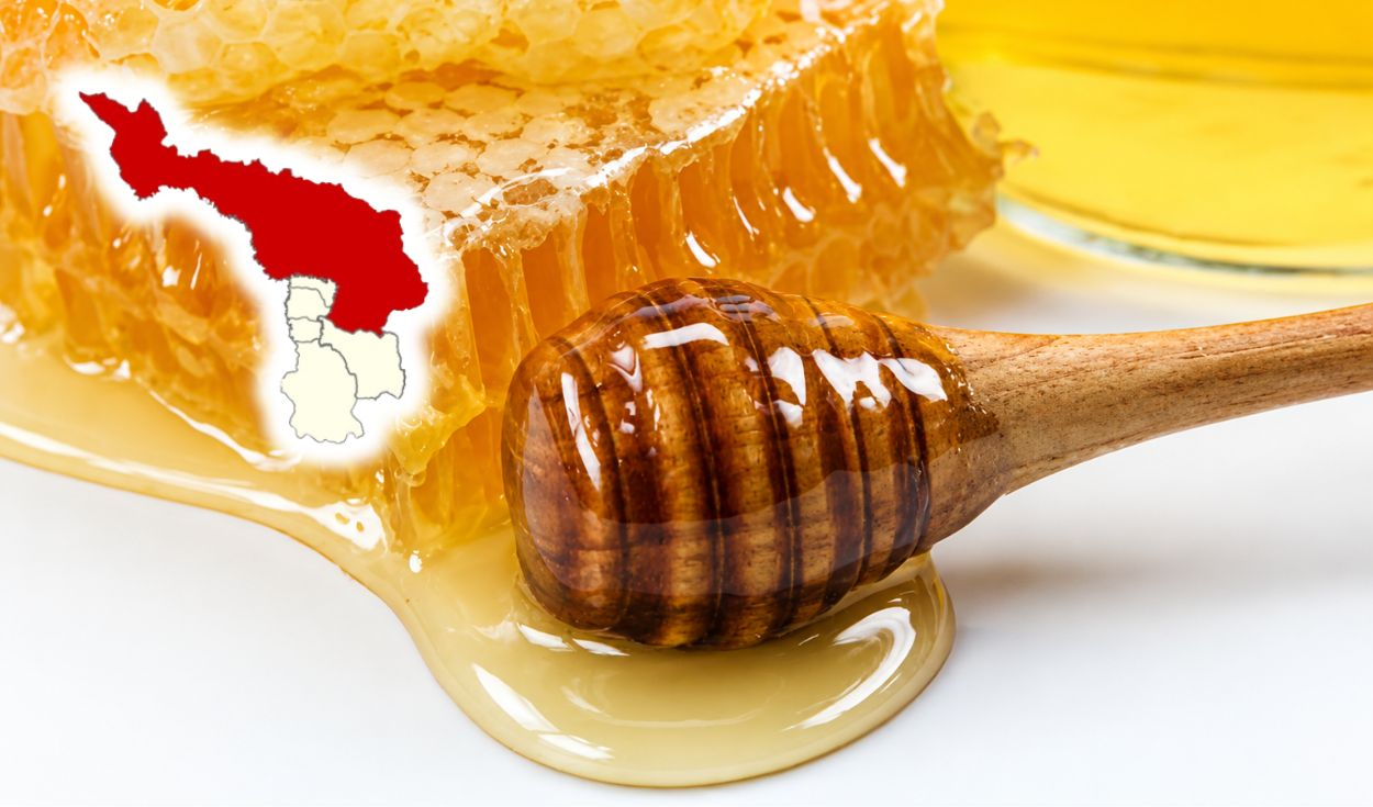 Peruvian province protects bees, recognizing their vital role in food production and ecosystems