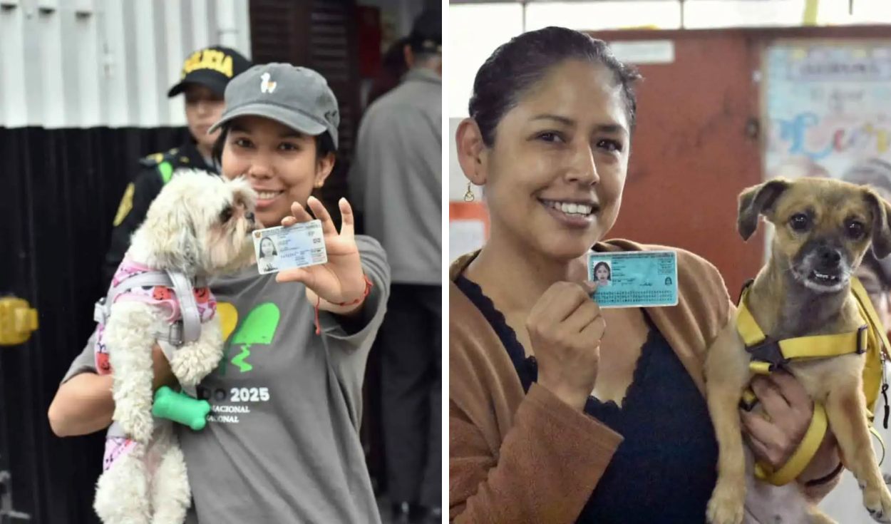 Mascotas acompañaron a sus dueños durante jornada electoral