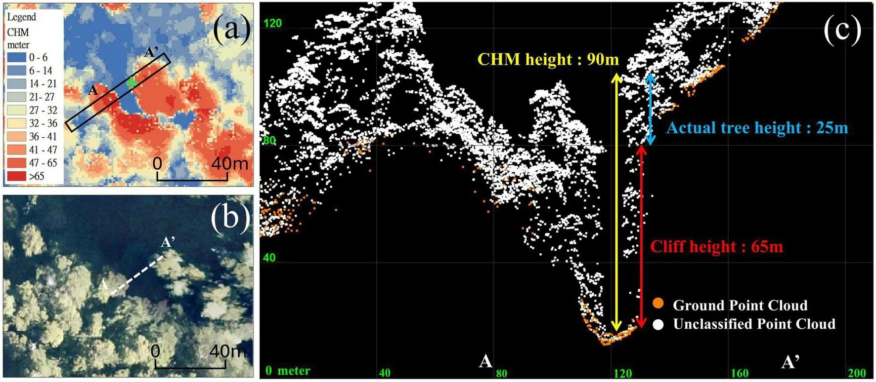 El ejemplar, un Taiwania cryptomerioides, fue identificado gracias a un escaneo LiDAR y la participación de 372 voluntarios. Partes de la investigación hecha por los científicos en Taiwan.