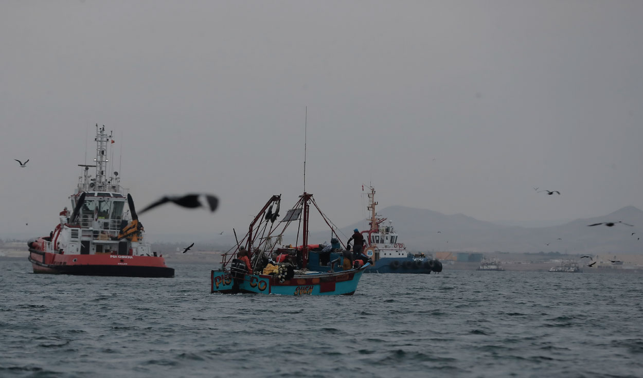 Embarcaciones artesanales realizan faenas en la bahía de Paracas. Pescadores de la zona afirman que cada vez deben recorrer mayores distancias para encontrar recursos marinos. Foto: Marco Cotrina / La República