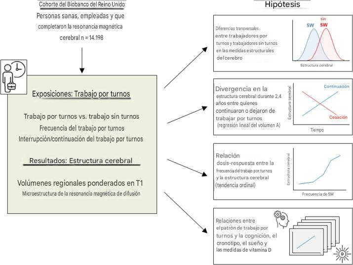 Diagrama conceptual que resume las hipótesis del estudio y el marco analítico.