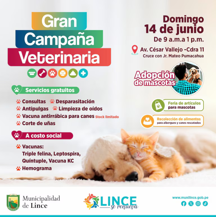 Campaña Veterinaria gratuita Lince