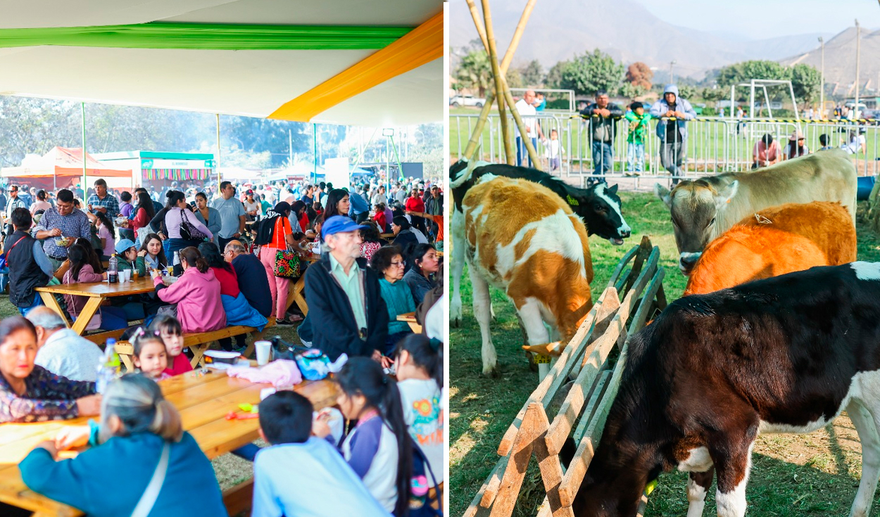Feria de agricultura familiar: MIDAGRI y UNALM llevan papas, selfies y promesas campo-ciudad